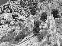 Kotor